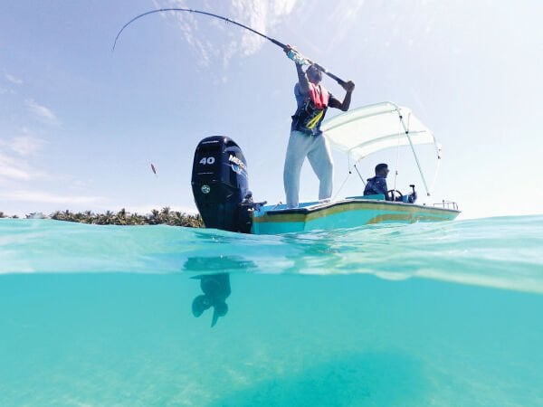 MERCURY F 40 ELPT EFI CT SEAPRO MARŞLI DİREKSİYONLU TRİMLİ DENİZ MOTORU