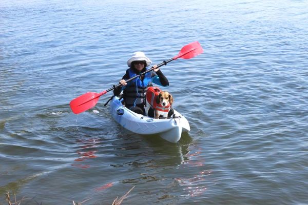 WINNER KAYAK VELOCITY-2 SİYAH-BEYAZ-MAVİ