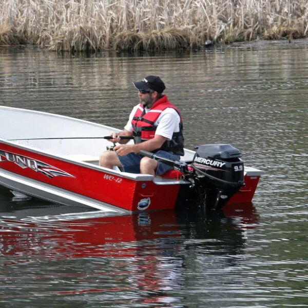 MERCURY F 9.9 M/ML EFI MANUEL DENİZ MOTORU