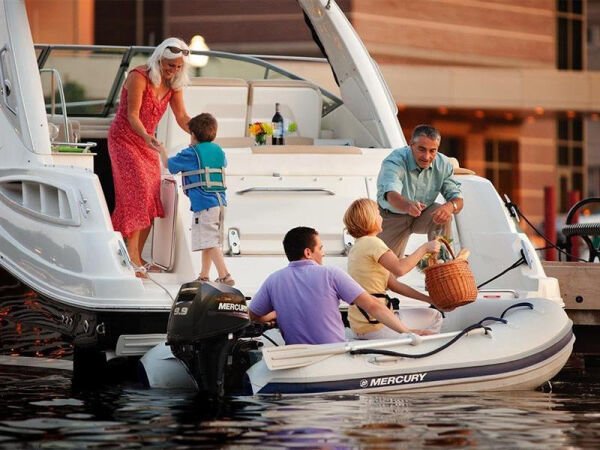 MERCURY F 9.9 M/ML EFI MANUEL DENİZ MOTORU